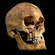 Illustration for article titled Confirmed: Richard IIIs Skeleton Found Underneath a Parking Lot